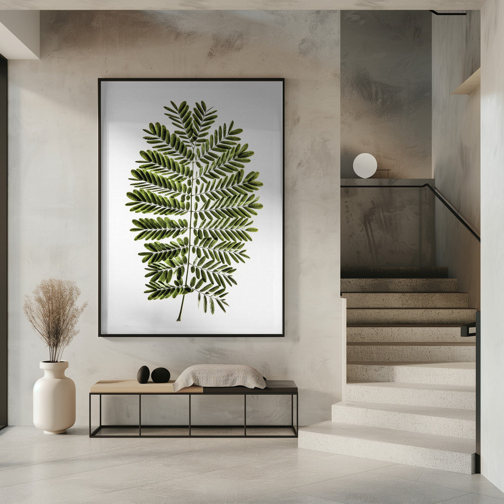 Fern's Symphony | Poster