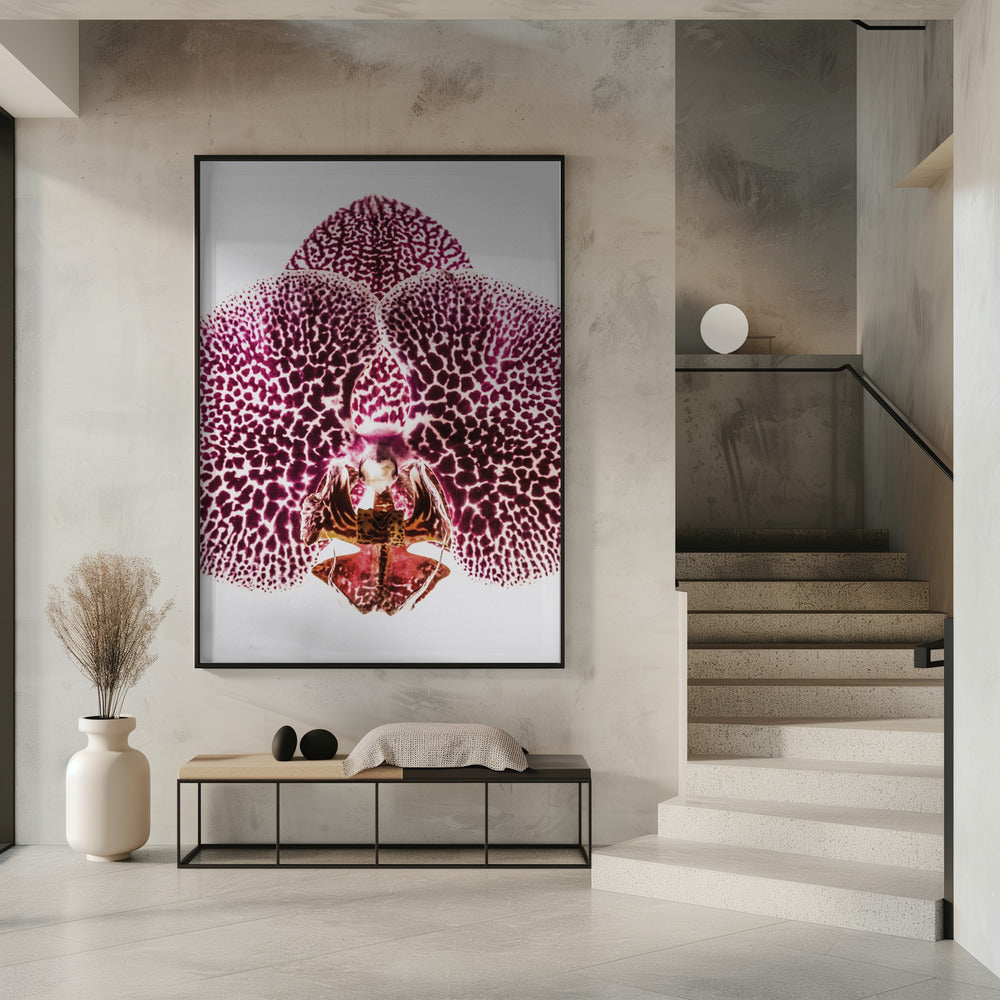 Petal Symmetry Burst | Poster