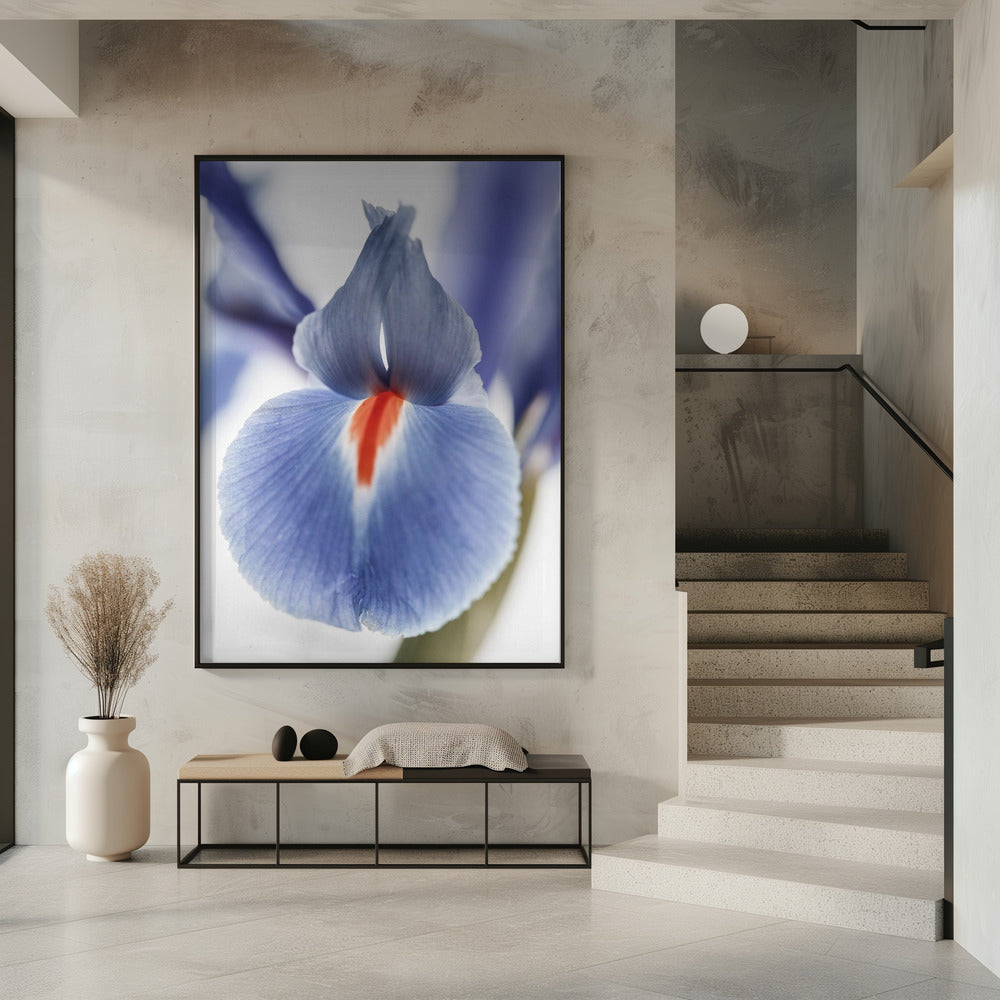 Blossom Whisper | Poster