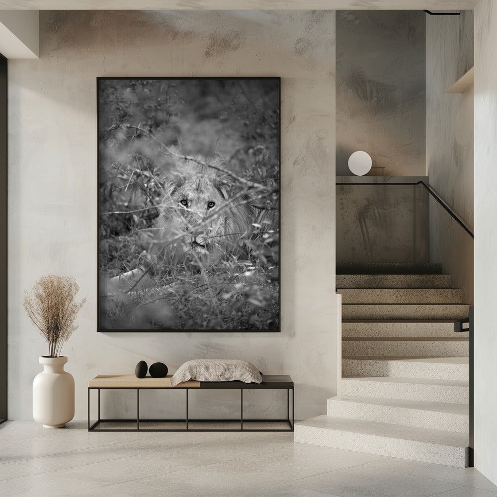 Hidden Majesty | Poster