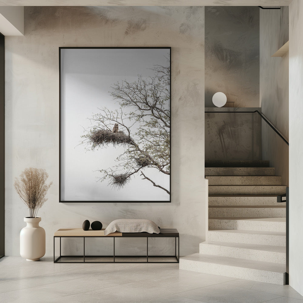 Owl's Perch | Poster