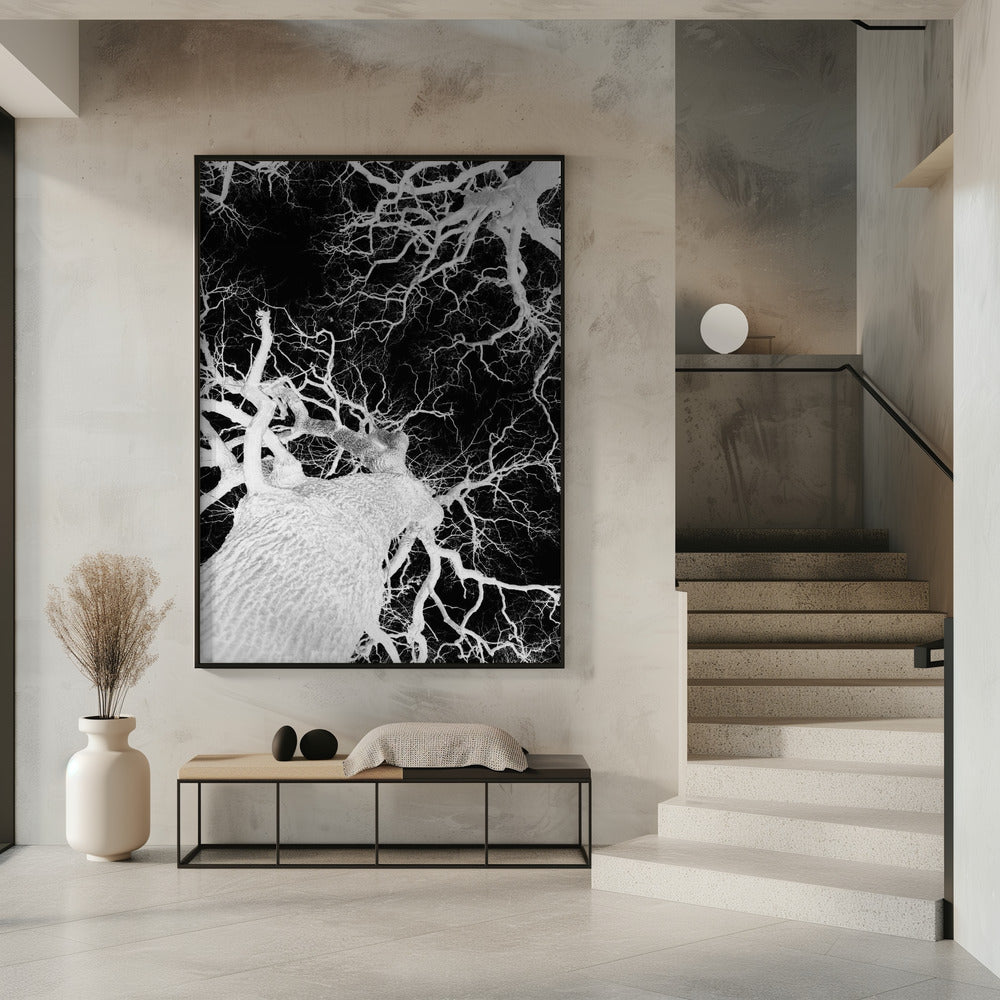 Winter's Veins | Poster