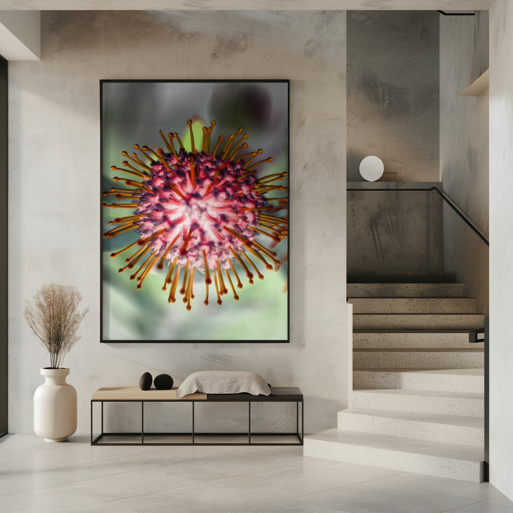 Blooming Radiance | Poster