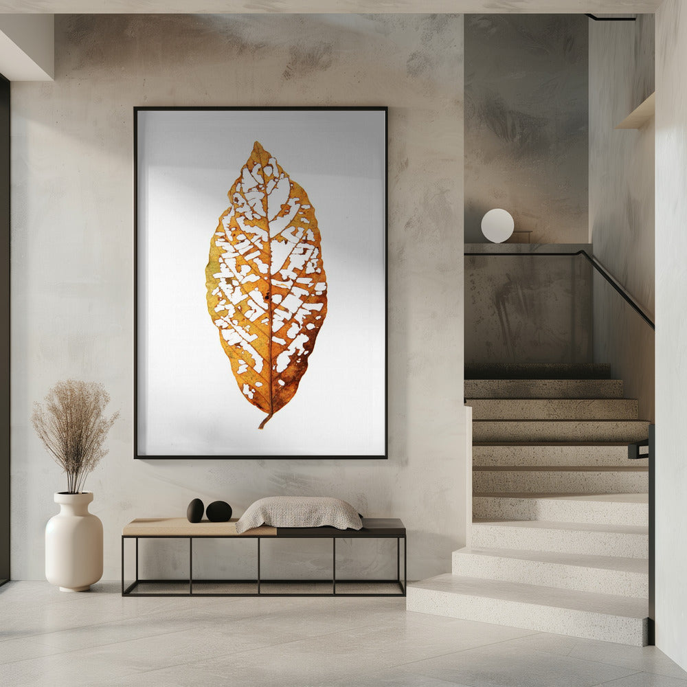 Leaf Skeleton Essence | Poster