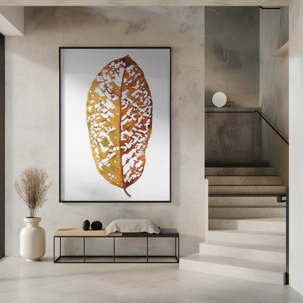 Faded Foliage Lace | Poster