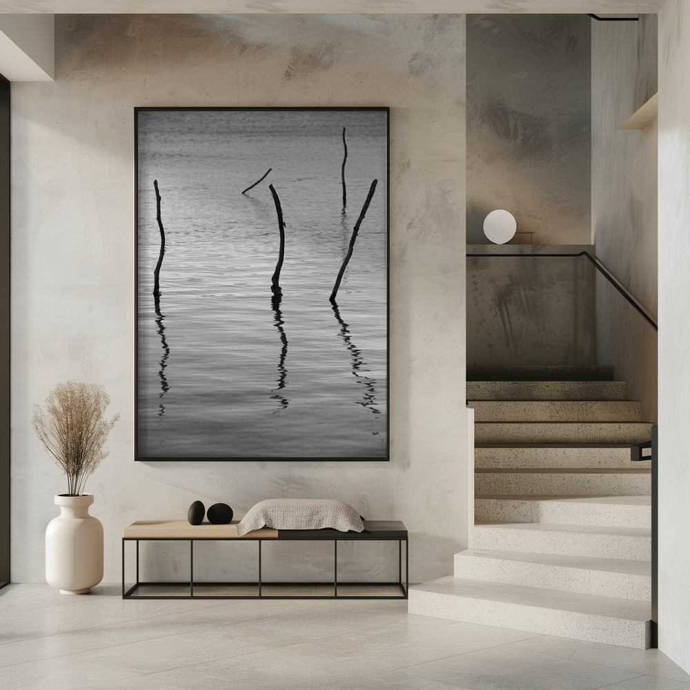 Silent Reflections | Poster