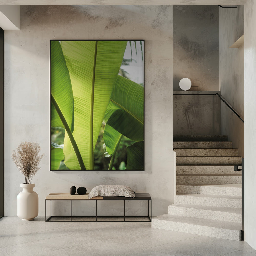Tropical Banana Leaves | Poster