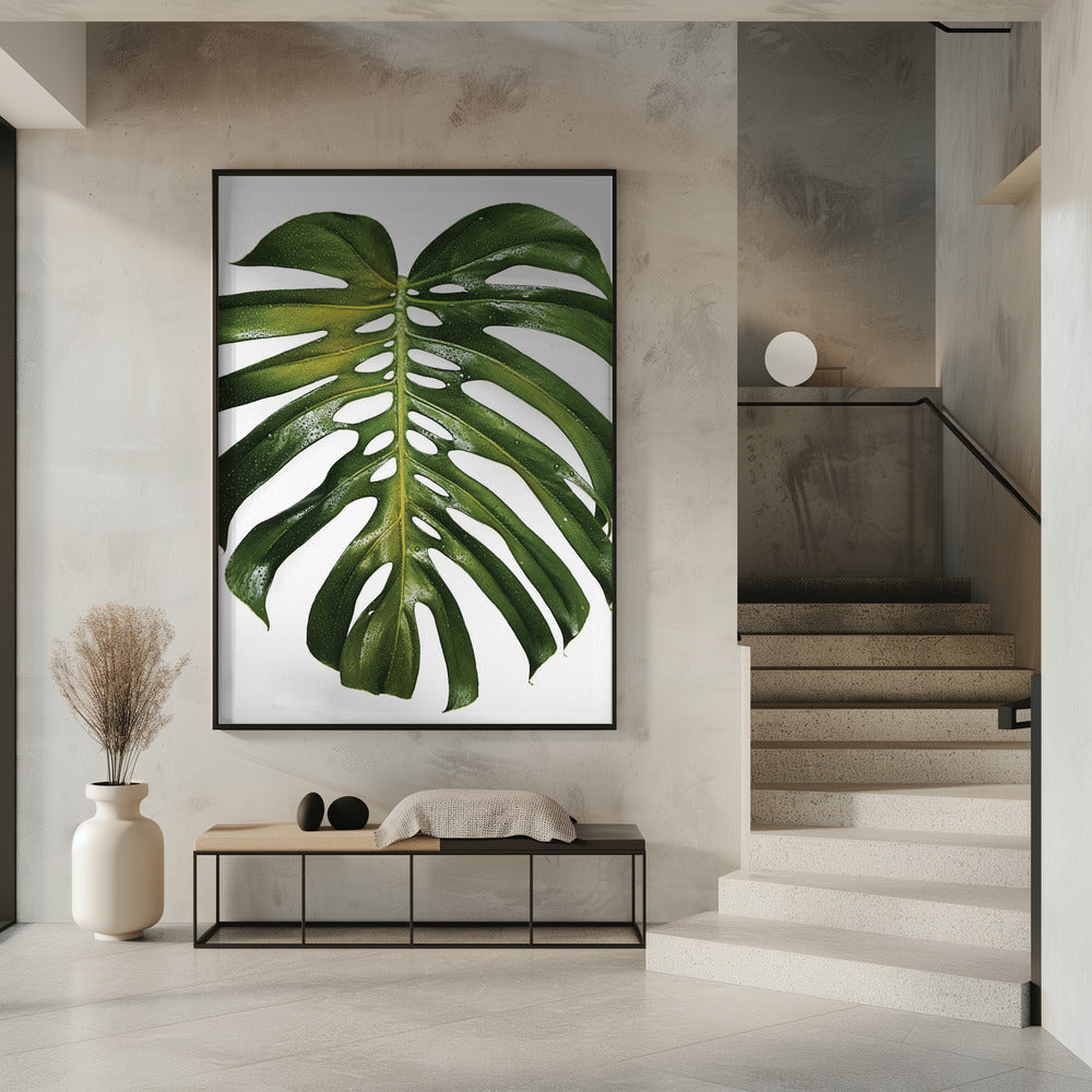 Verdant Monstera Leaf | Poster