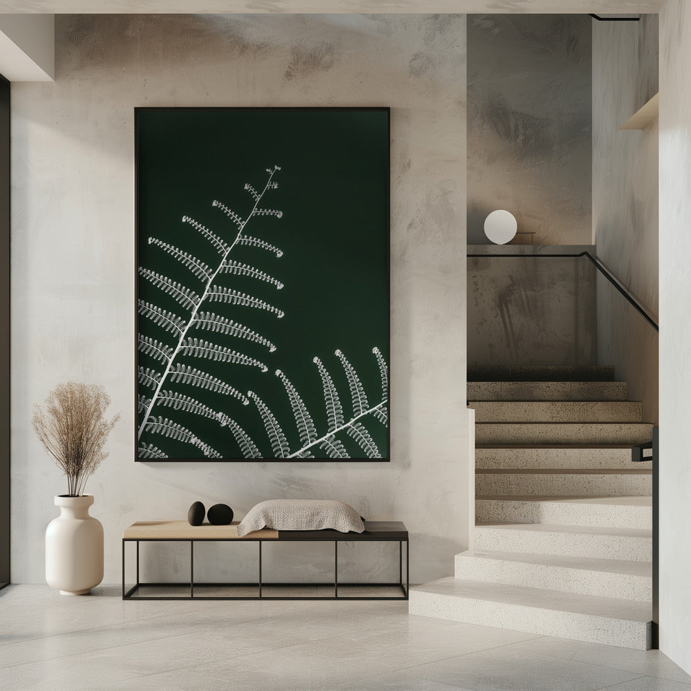 Fern's Gentle Curve | Poster