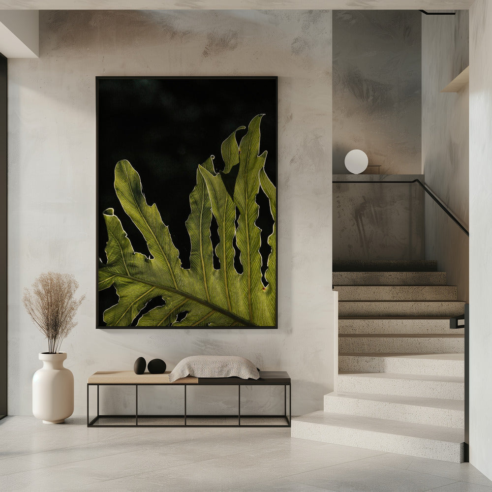 Leafy Silhouette | Poster