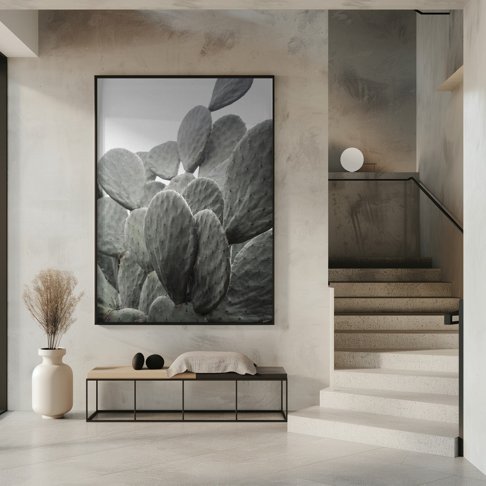 Beauty Of Cactus | Poster