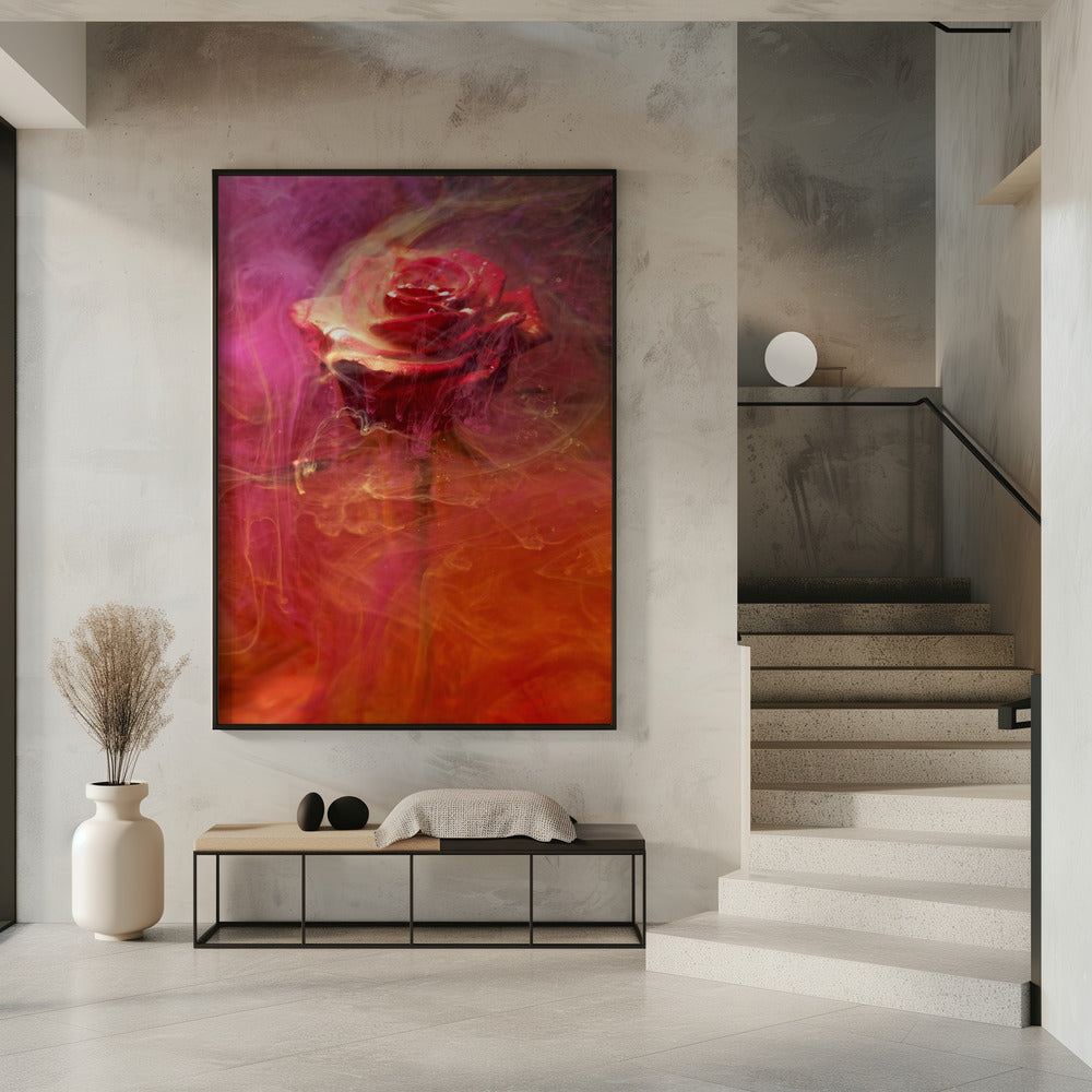 red rose and ink in water | Poster