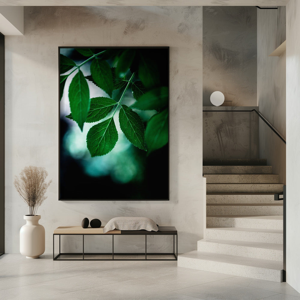Dark Leaves 14 | Poster