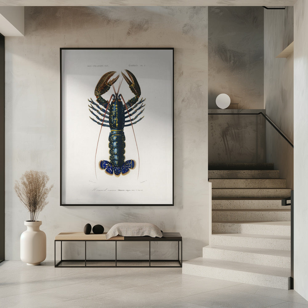 Crimson Crawfish | Poster