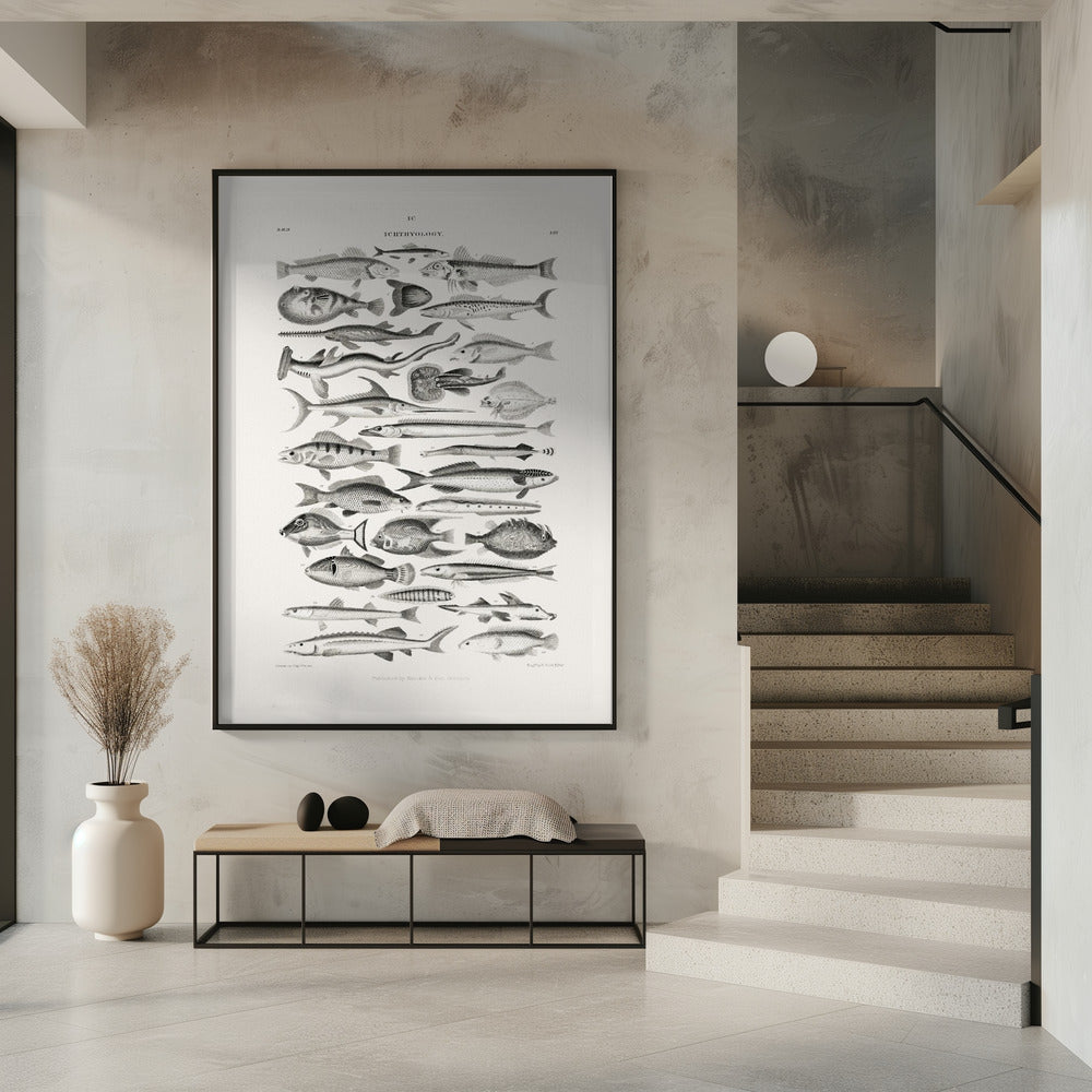 Sealife I | Poster