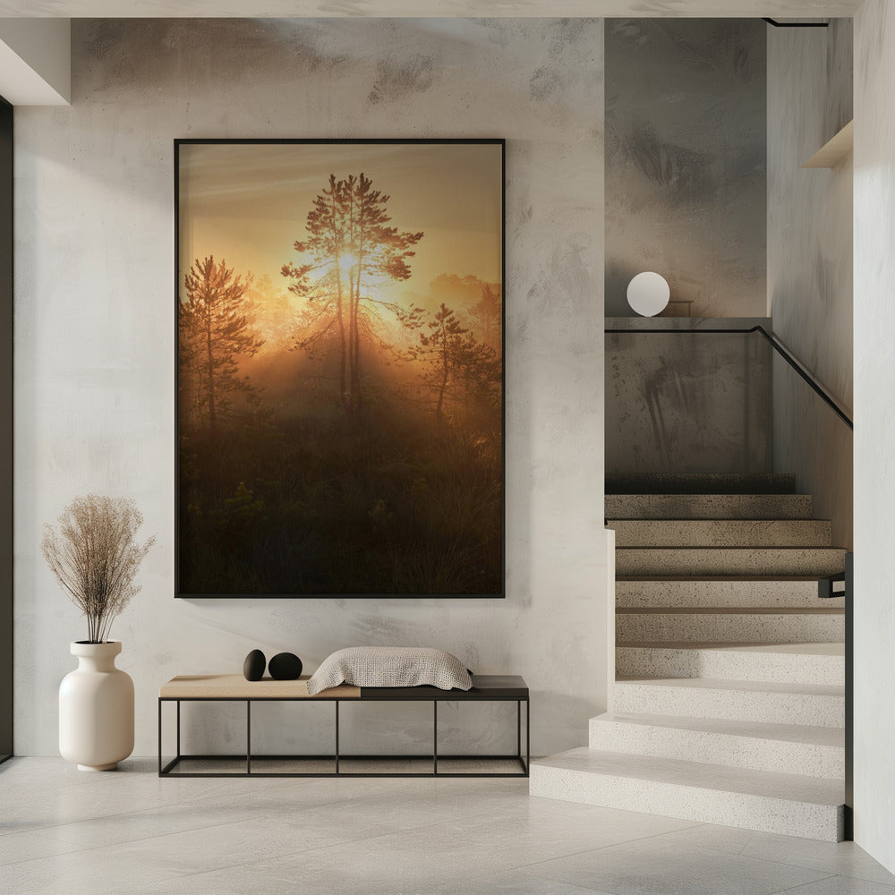 20220809 Dsf8009 Hdr 1 | Poster