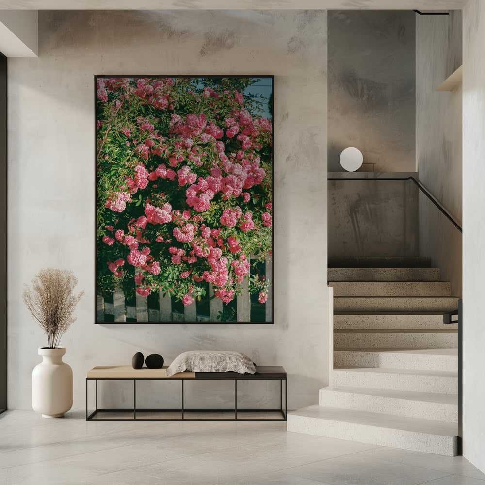 Cannon Beach Blooms | Poster