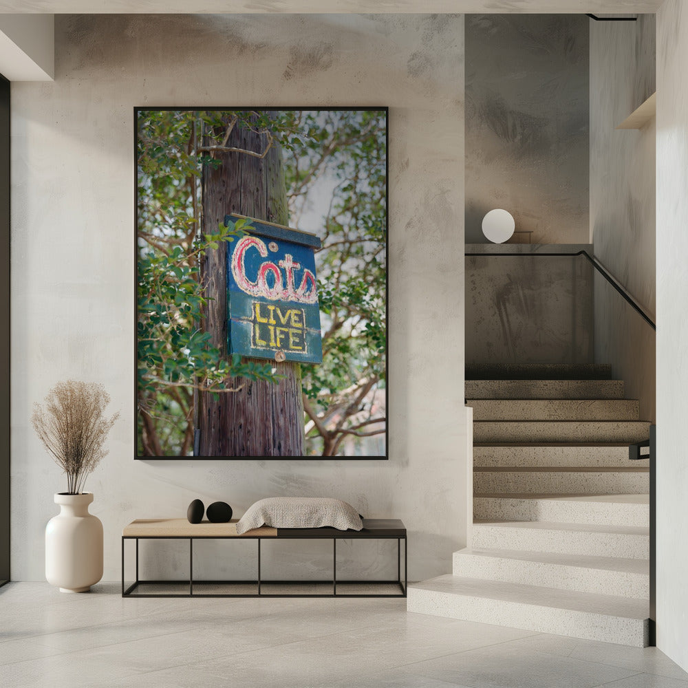 New Orleans Cats | Poster