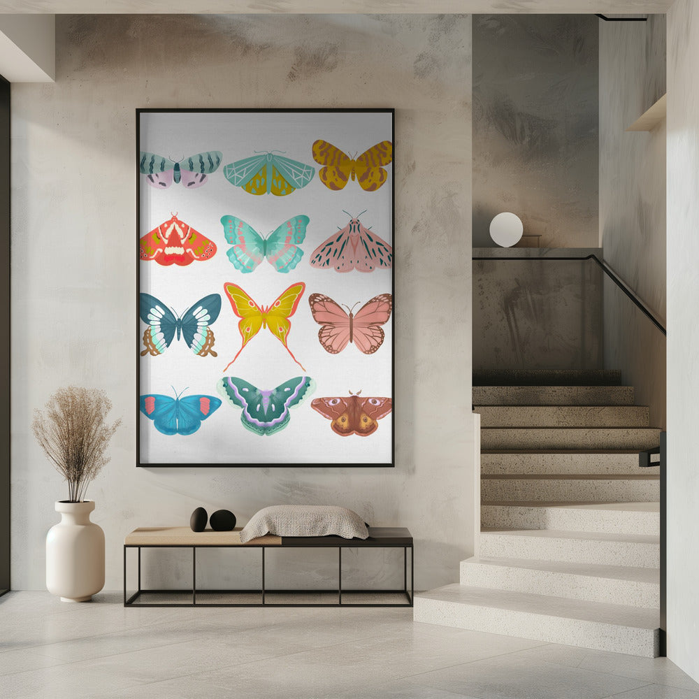 Butterfly | Poster