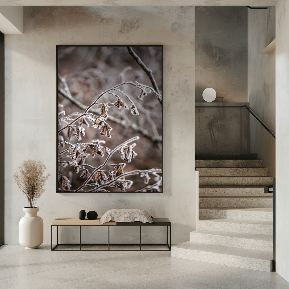 Winter Branches 18 | Poster