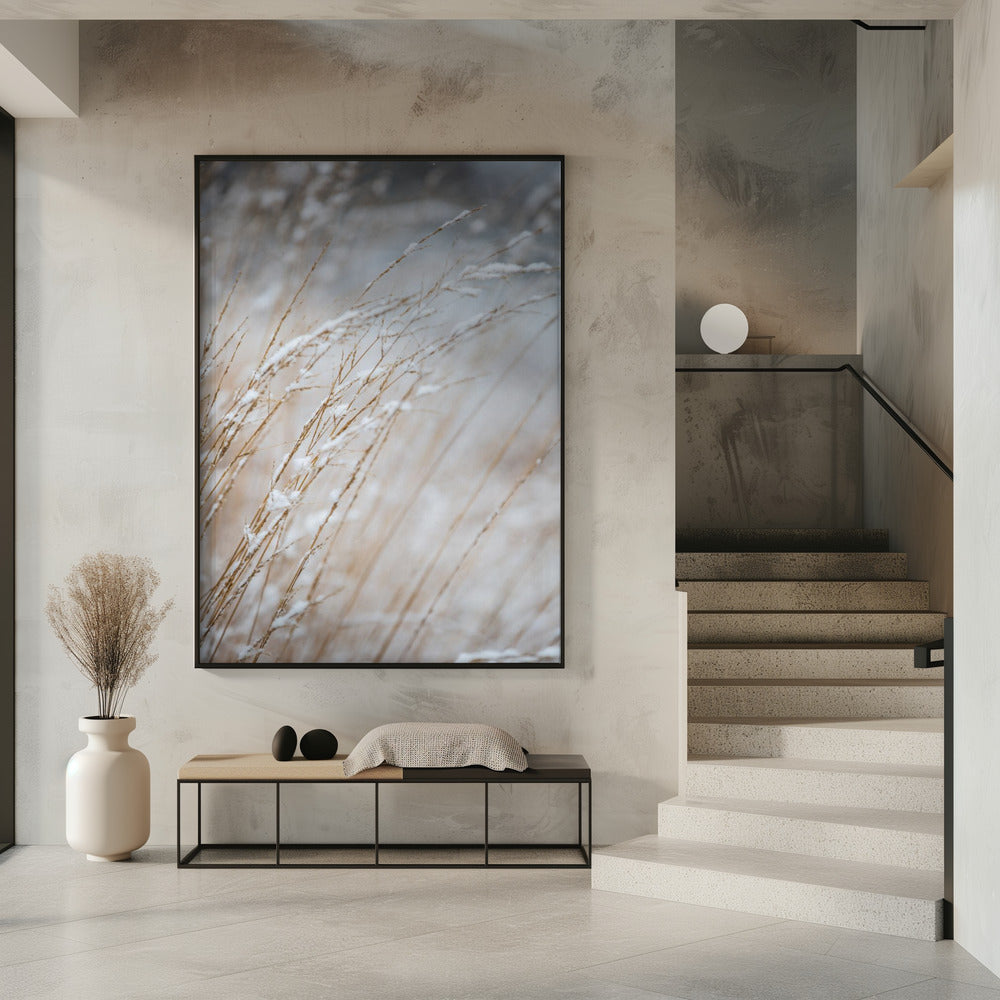 Winter Grass | Poster