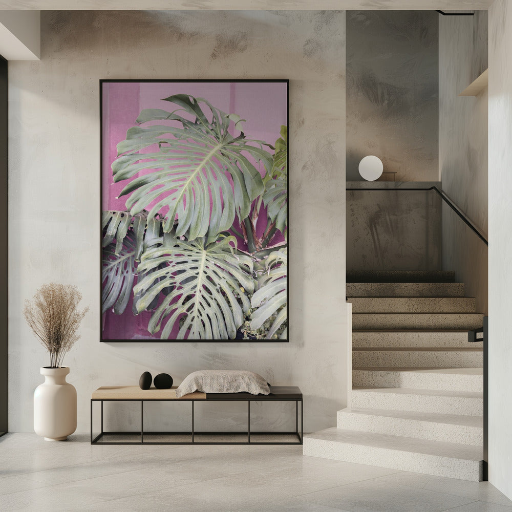 Monstera leaf La Muralla | Poster