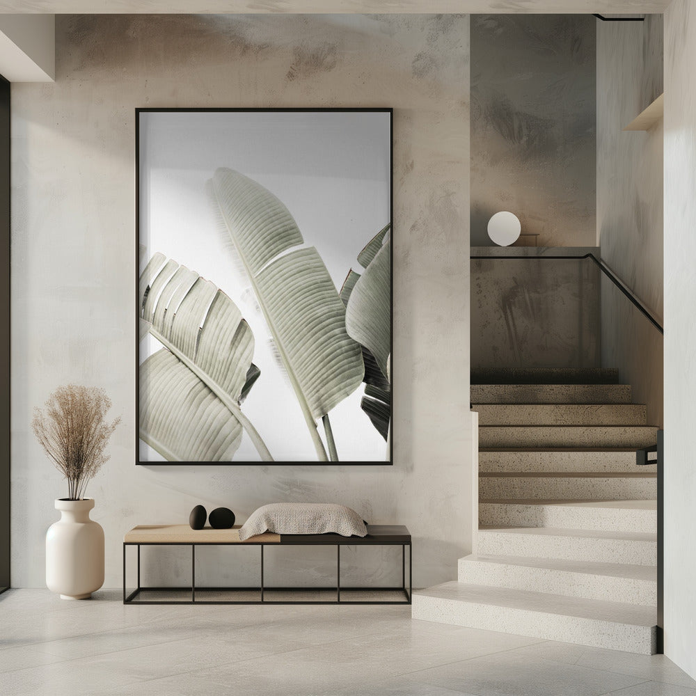 Banana leaf 1 | Poster