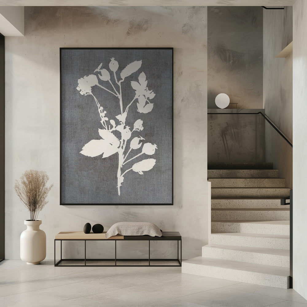 Botanical Illustration 6 | Poster