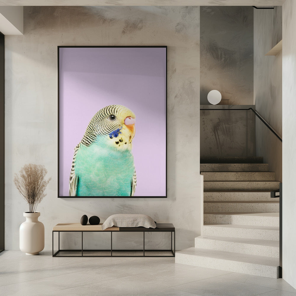 Badgie | Poster