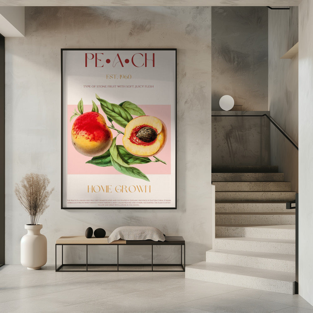 Vintage Style Peach Illustration | Poster