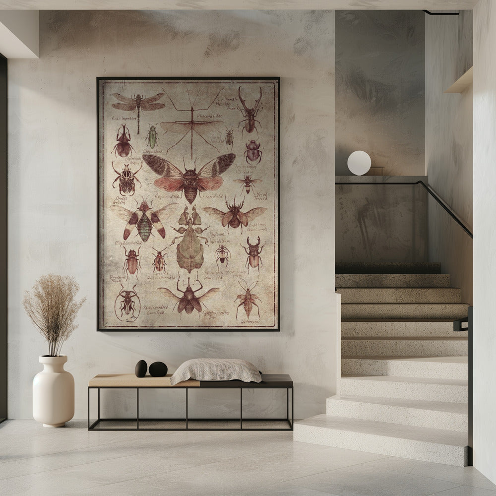 Vintage-style Insects | Poster