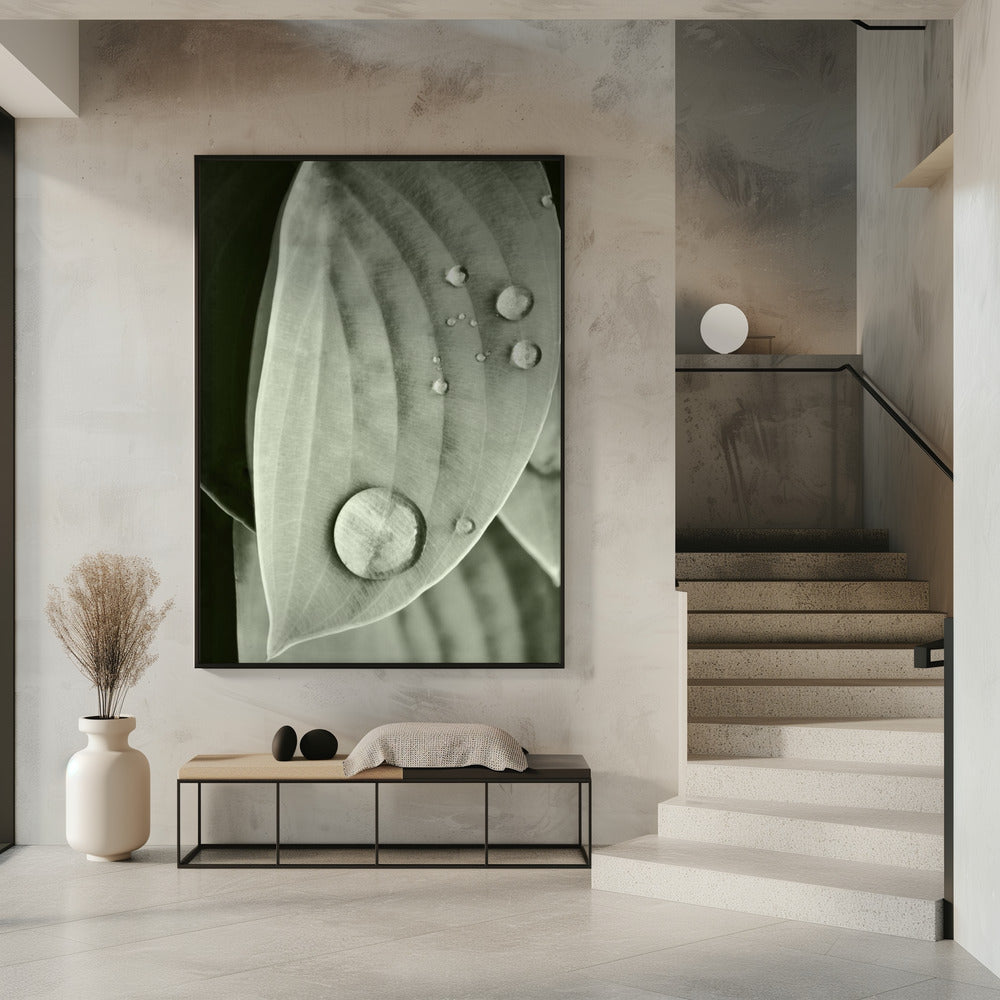 Dew on Leaf Elegance | Poster