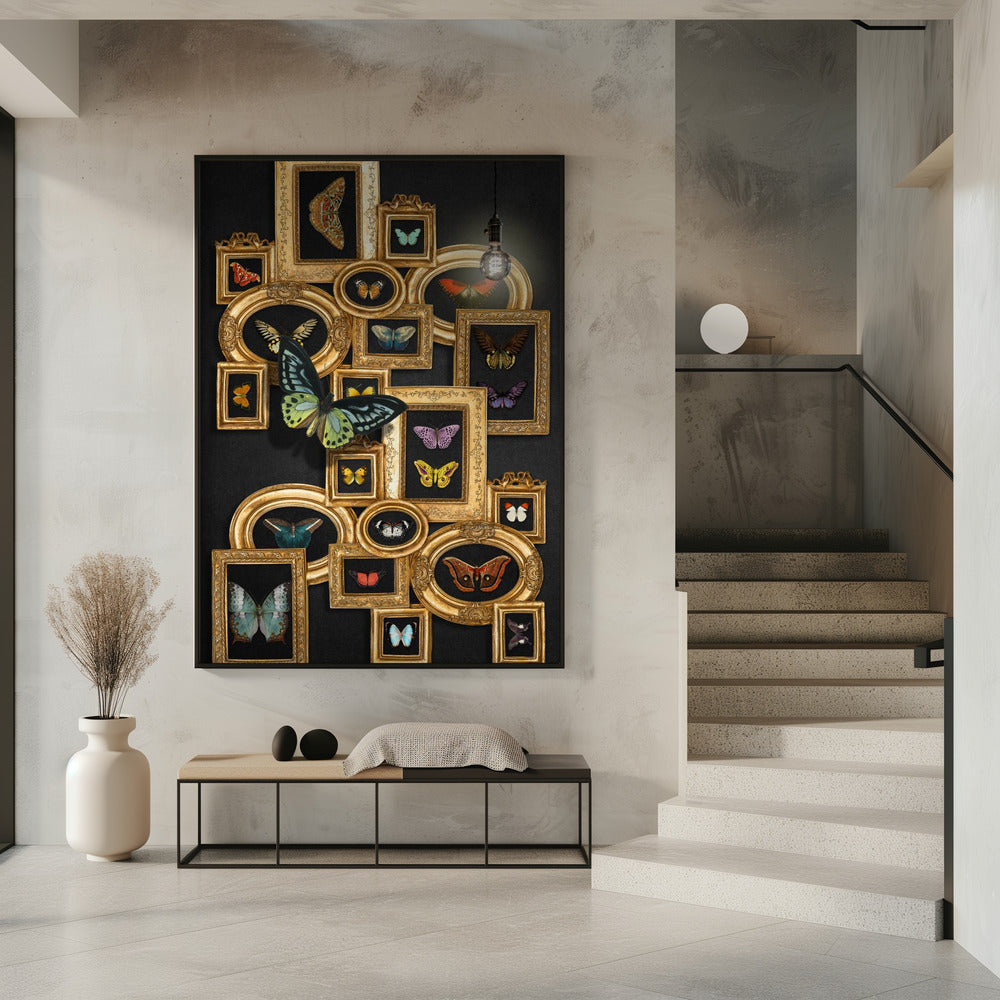 A Collection Of Butterflies | Poster
