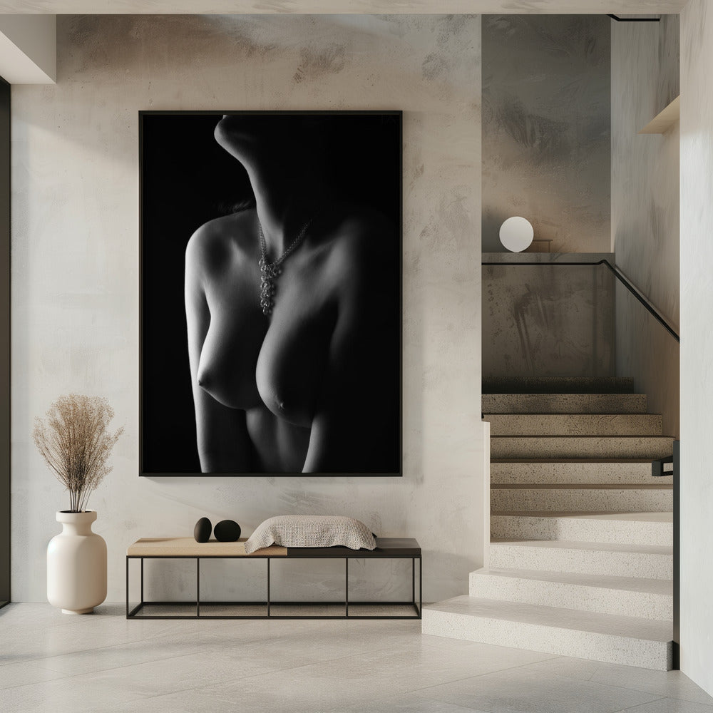 Nude curves | Poster