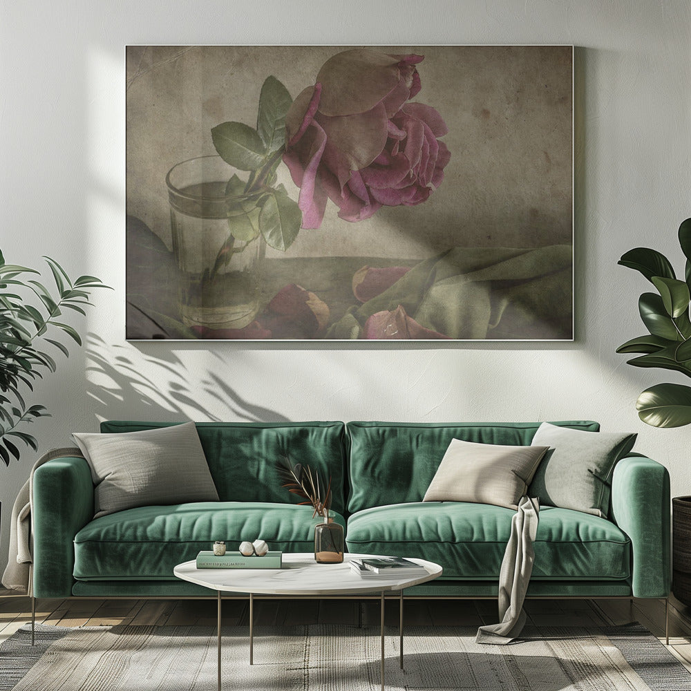 Tear of Rose | Canvas