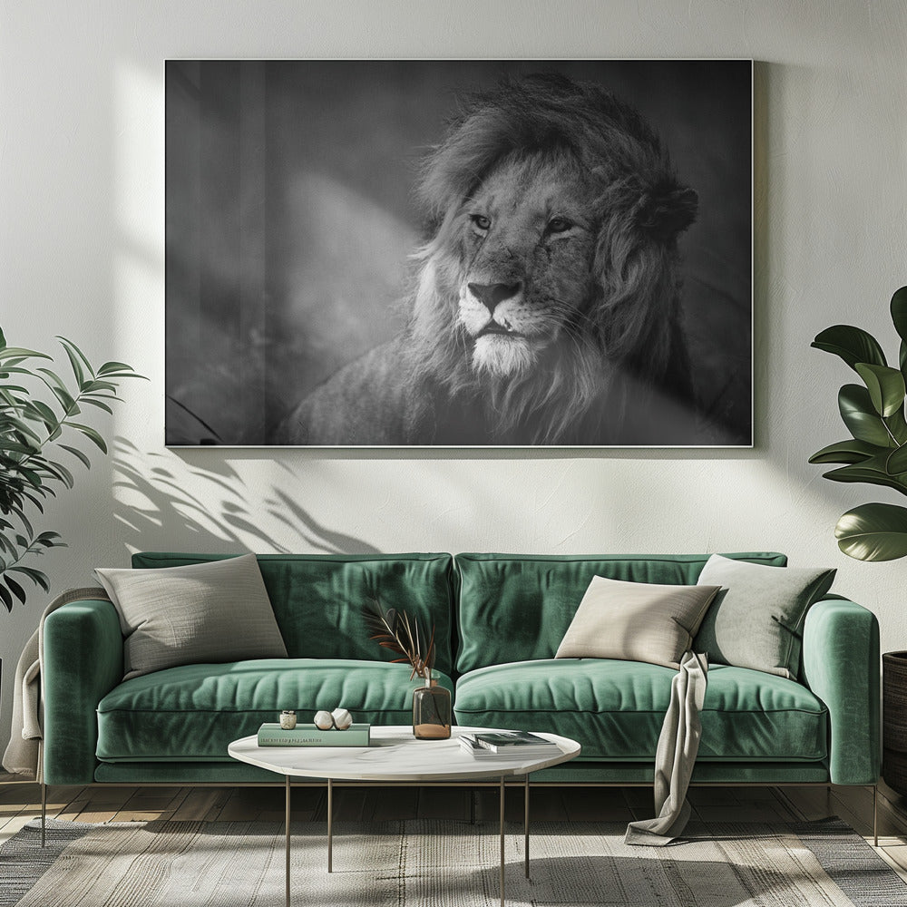 Regal | Canvas