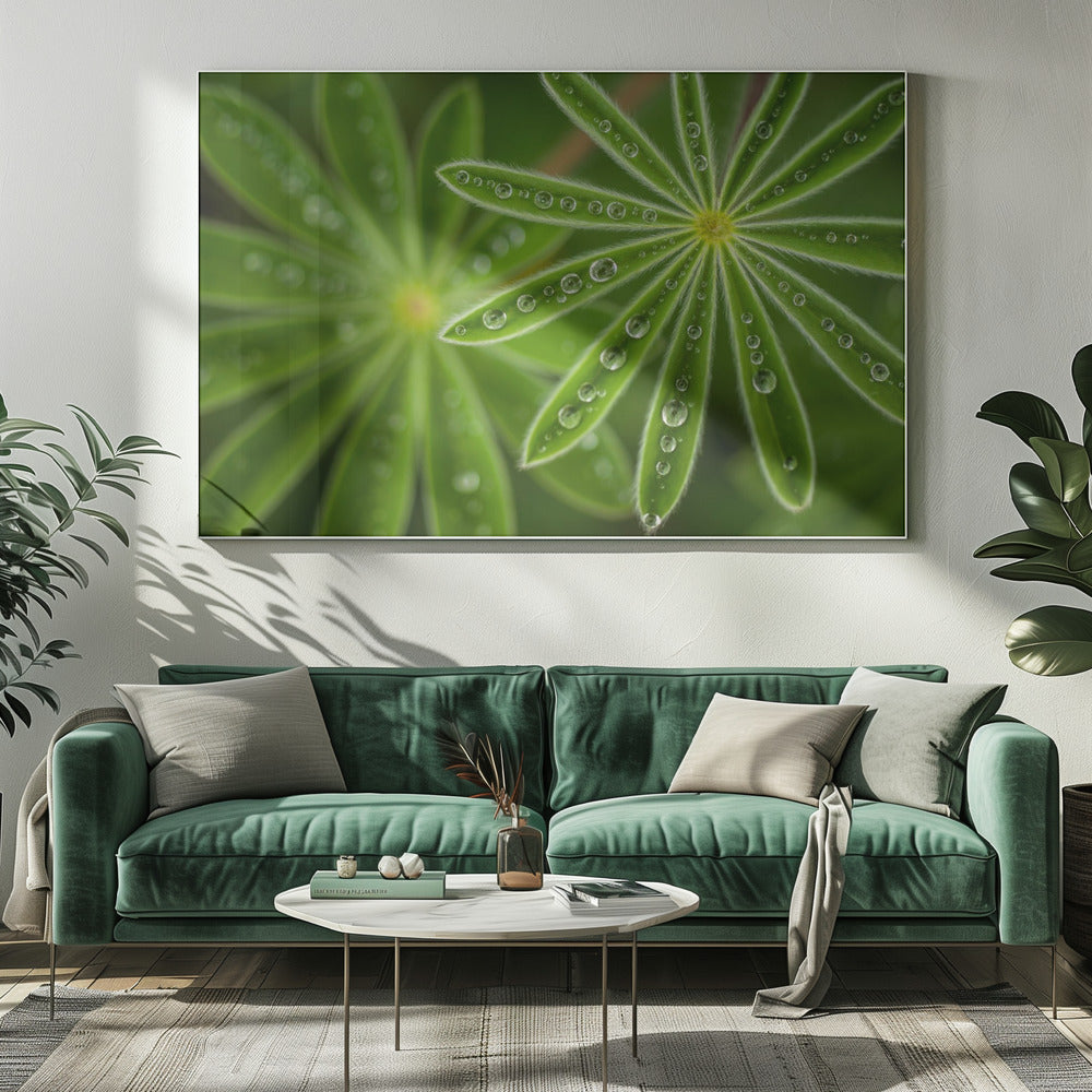 Pearly Lupine | Canvas