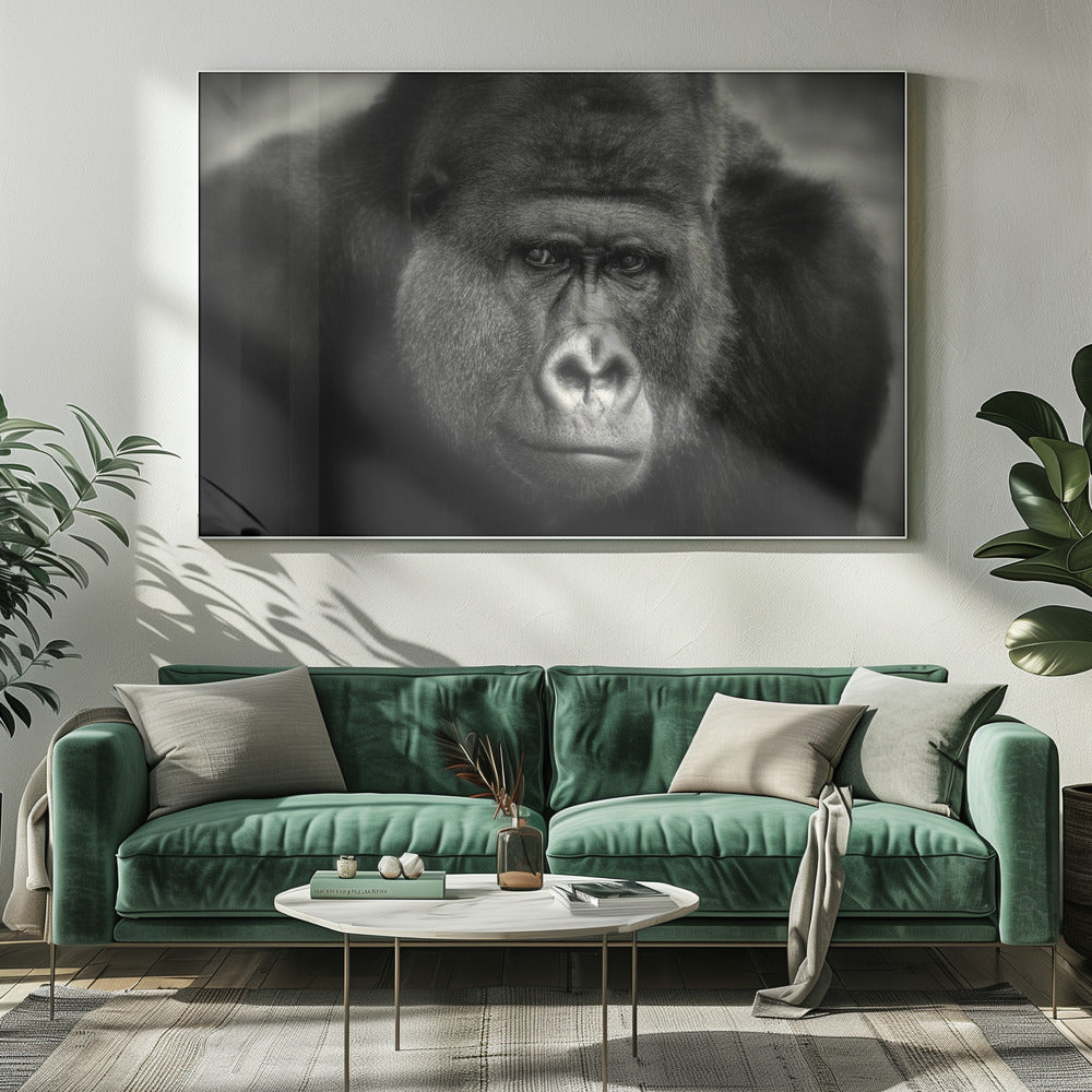 LITTLE SMILE .... | Canvas