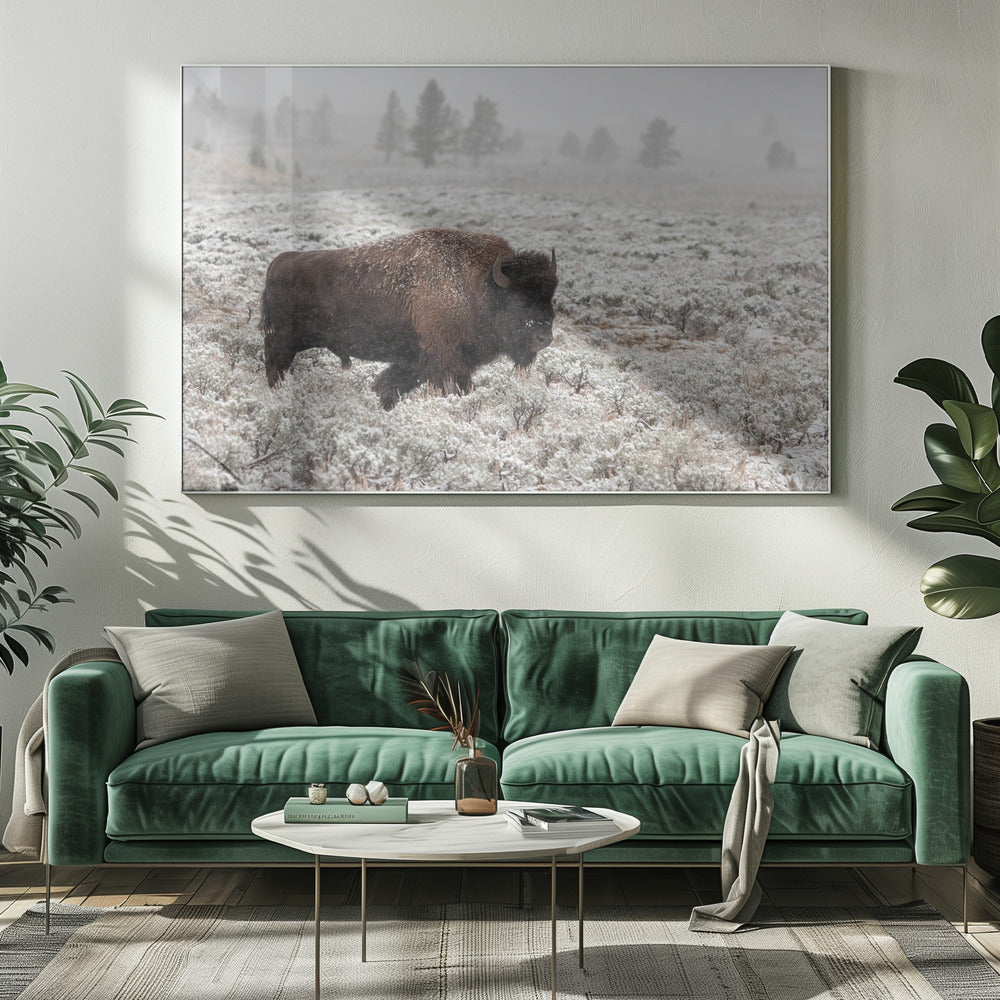 Late Fall Yellowstone | Canvas