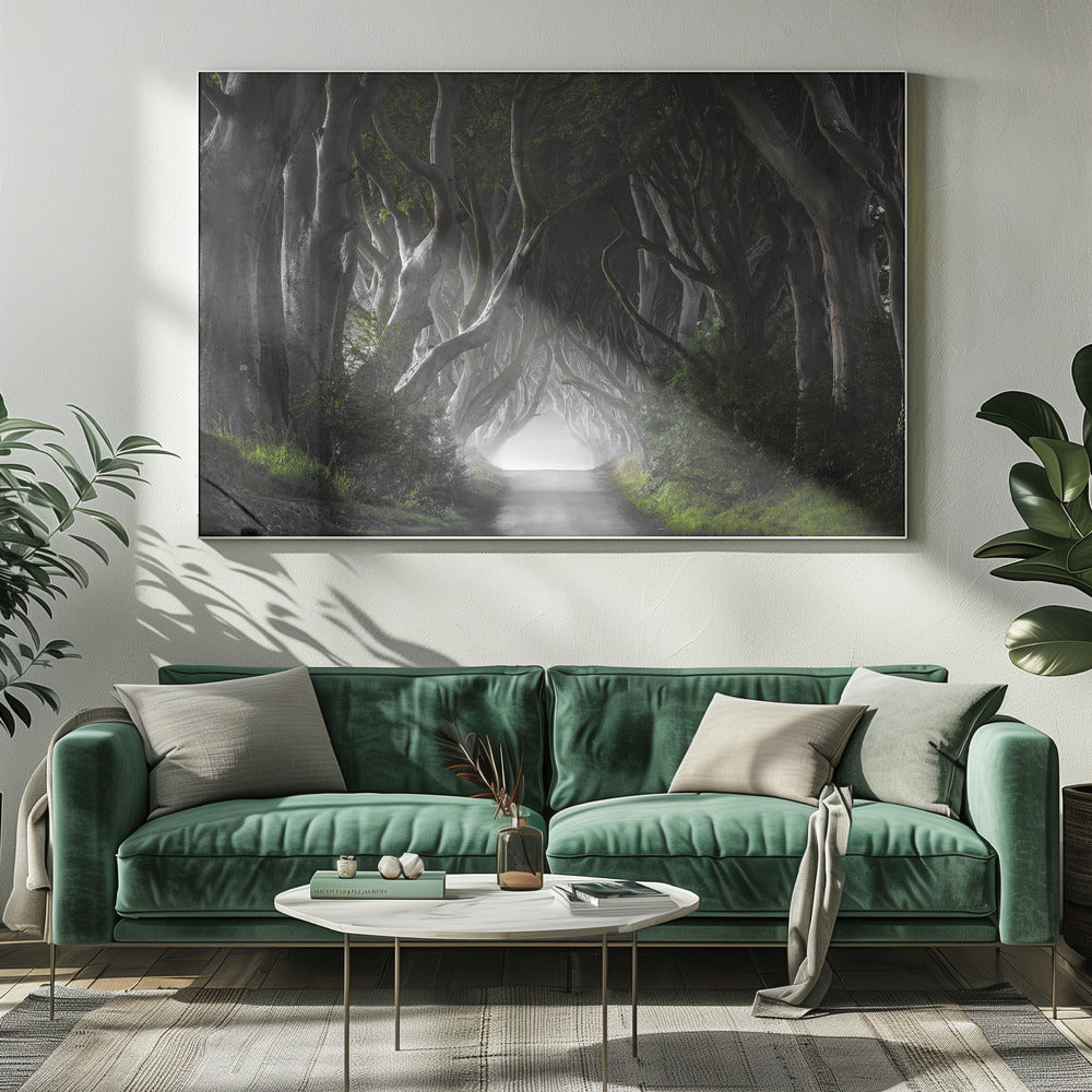 DARK HEDGES | Canvas