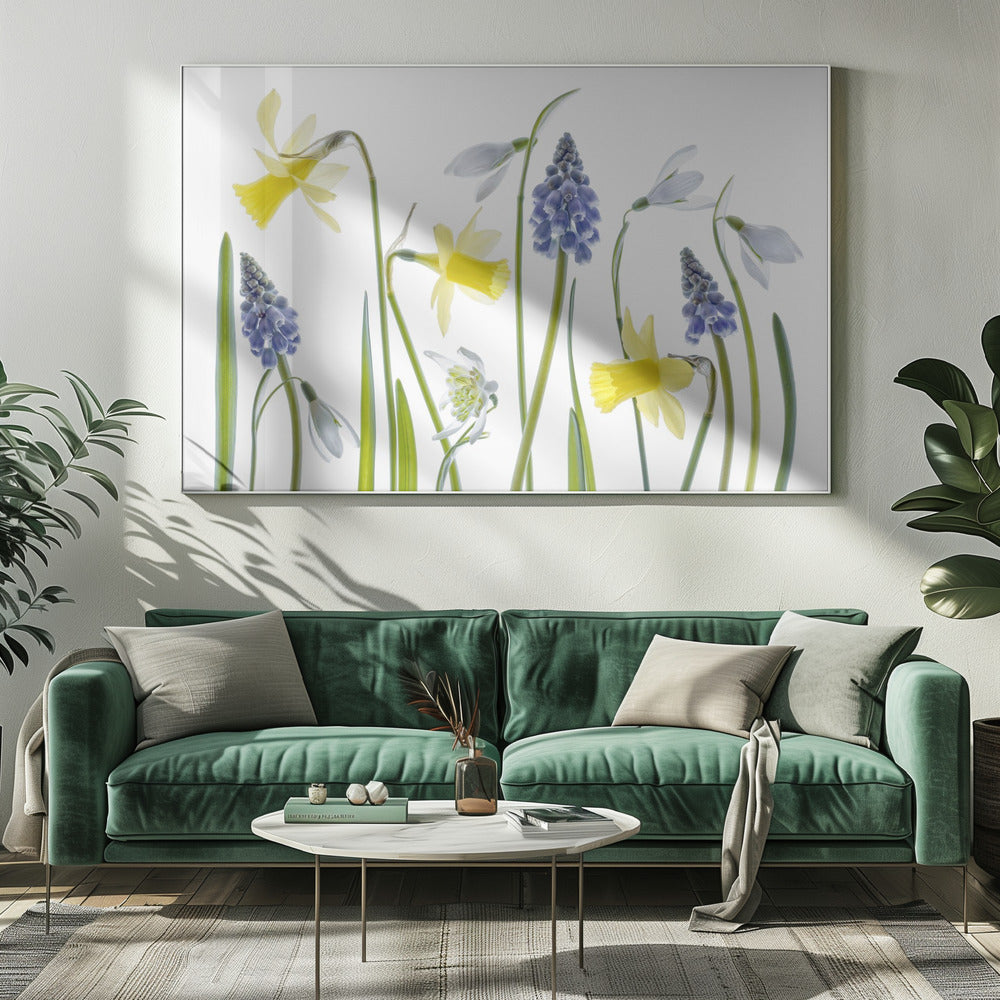 Spring | Canvas