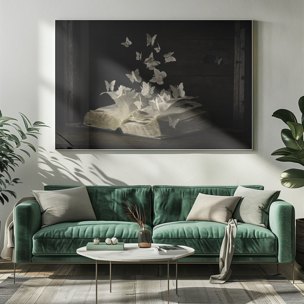 Lepidopterology | Canvas
