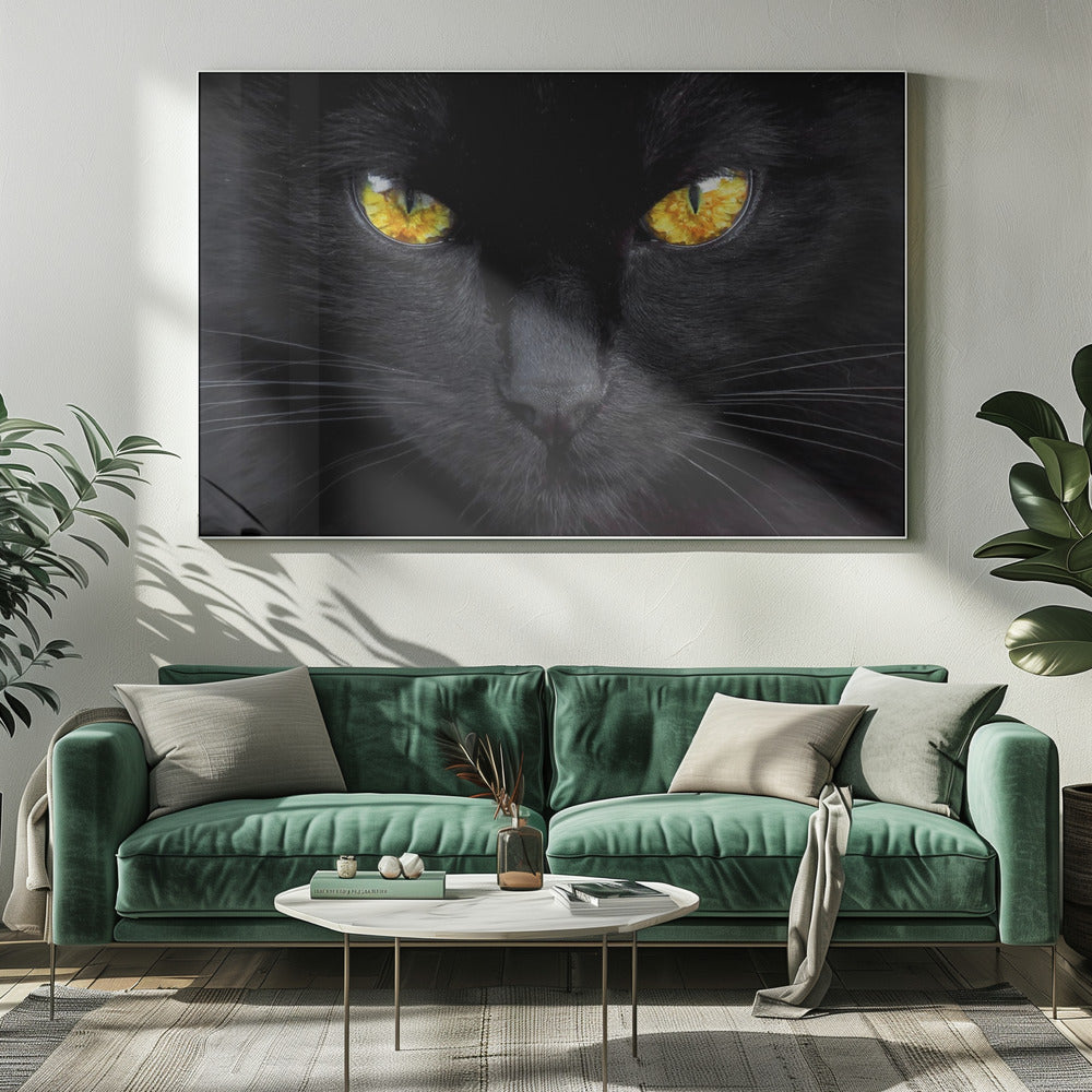 The hypnotist of the night | Canvas