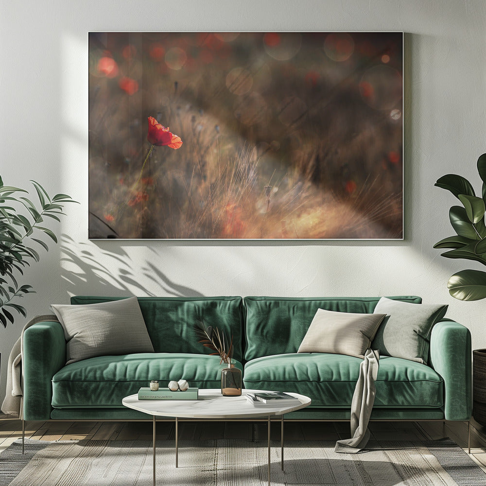Poppy | Canvas