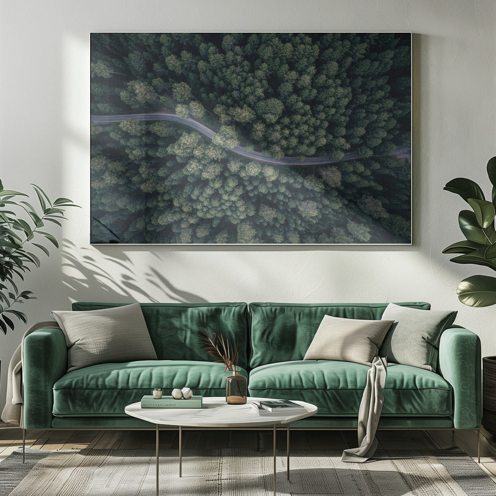 From above | Canvas