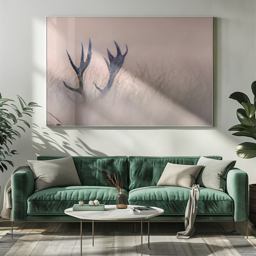 Hide & Seek ( Horn of Stag) | Canvas