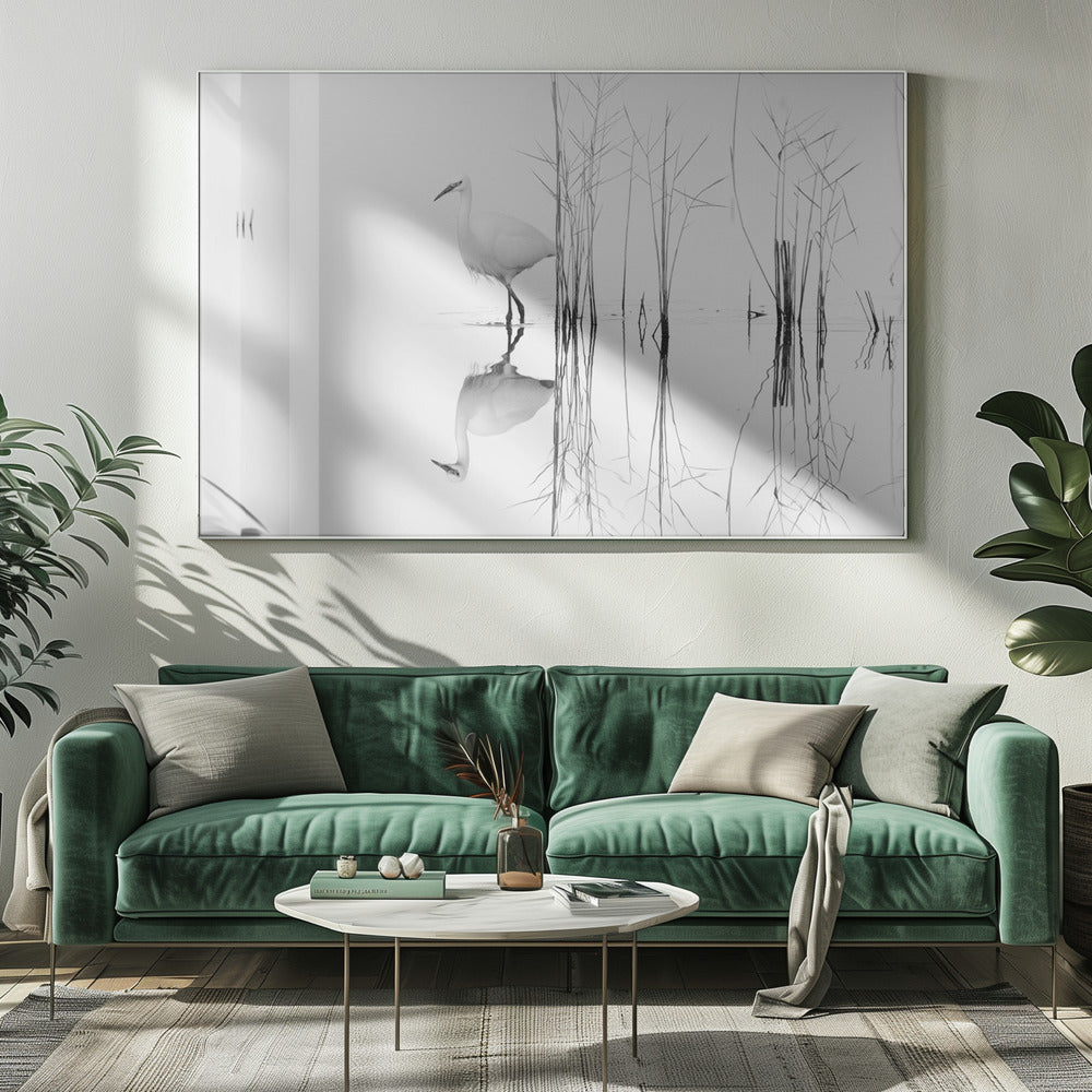 white | Canvas