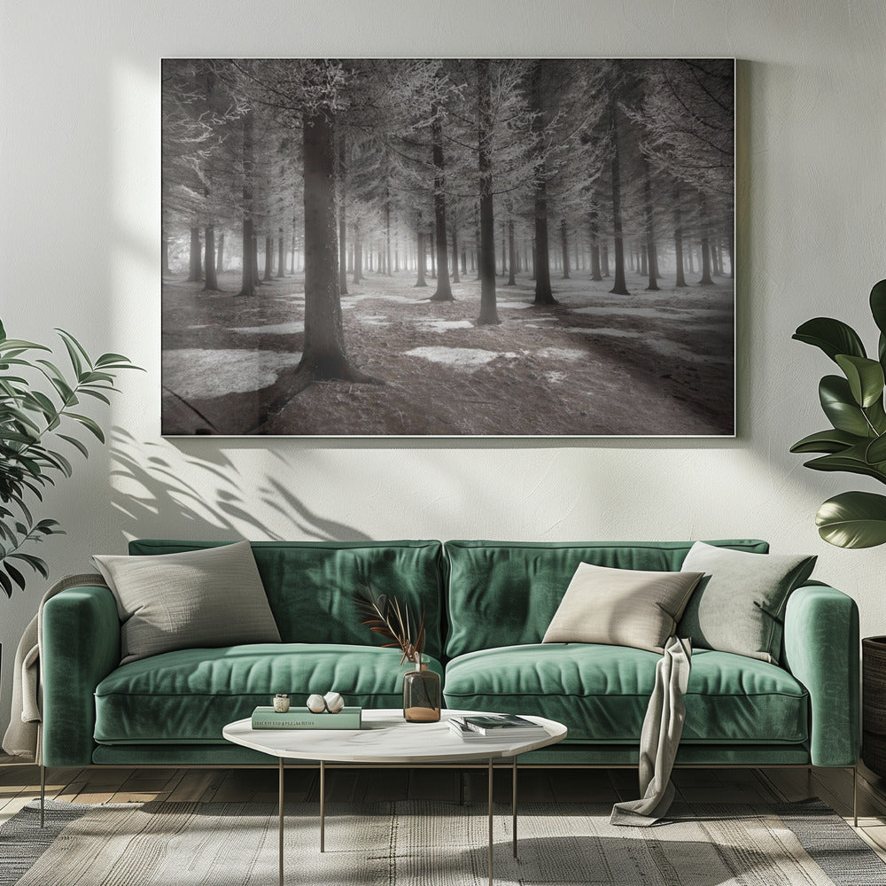 The onset of winter | Canvas