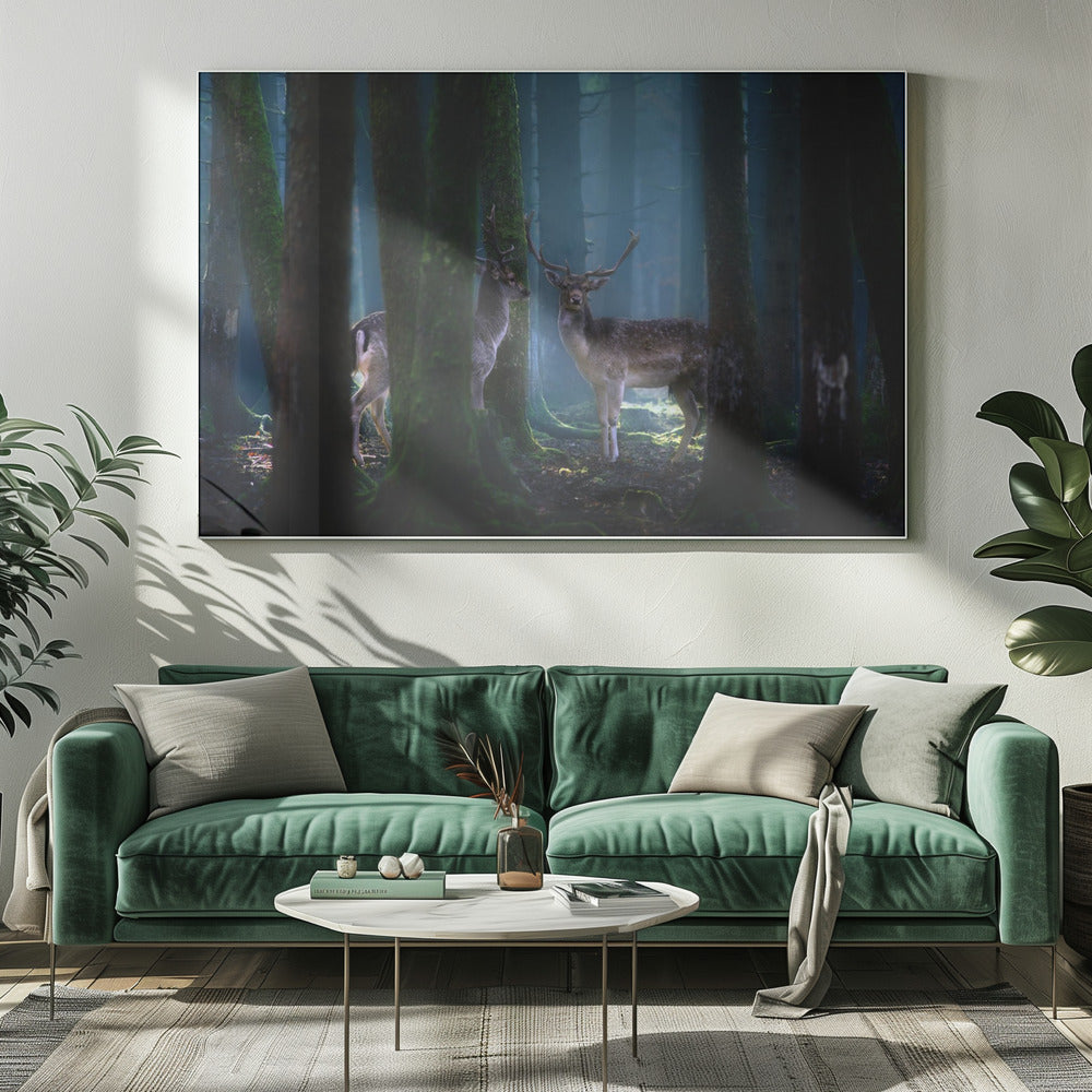 Deers | Canvas