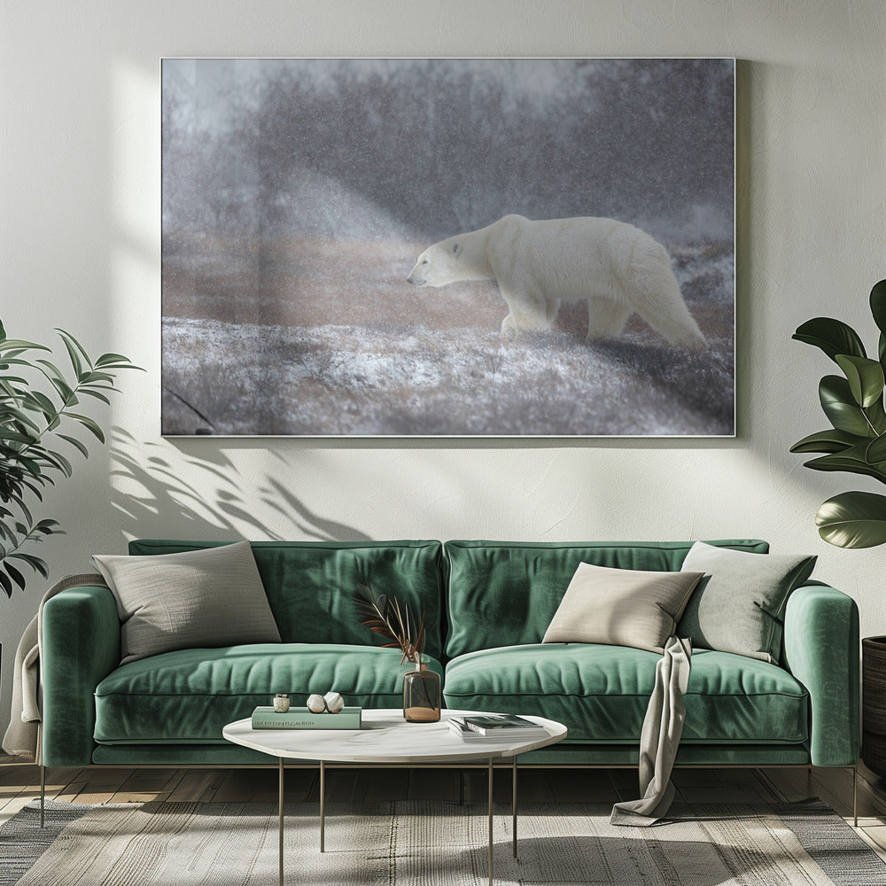 Let it Snow! | Canvas